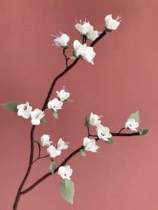 avatar sylviabijl