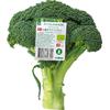 Änglamark Økologisk broccoli