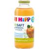 Hipp Bio Saft + Mineralwasser Milder Apfel Fenchel