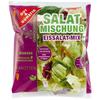 GUT&GÜNSTIG Salatmischung Eissalat Mix 150g