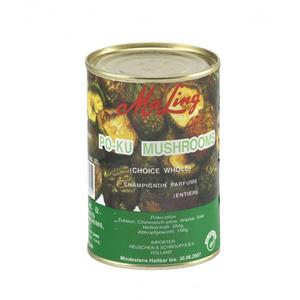 Ambition Poku-Pilze 284 GR