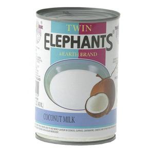 Twin Elephant Earth Kokosmilch 18-20% Fett 400 GR