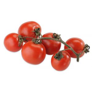 Bio Strauchtomaten