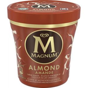 Magnum Almond