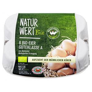 NaturWert Bio Eier Bruderhahn Aufzucht Güteklasse A Größe M/L