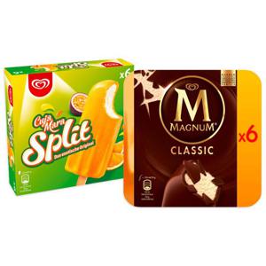 Set: Kleine Eisbox mit Cuja Mara Split 18 Stk. und Magnum Classic 12 Stk.