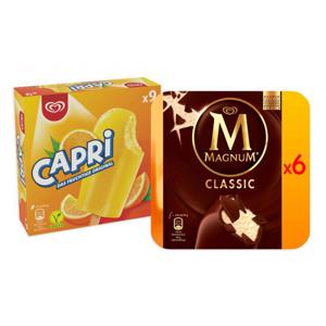 Set: Kleine Eisbox mit Capri 27 Stk. und Magnum Classic 12 Stk.