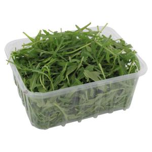 Bio Rucola Salat