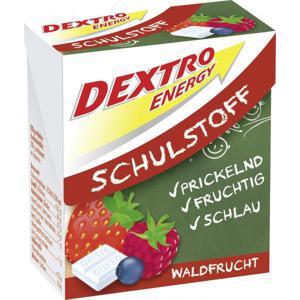 Dextro Energy Schulstoff Waldfrucht