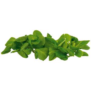 Unsere Heimat Feldsalat Deutschland,Rheinland-Pfalz Klasse I 150g Schale mit Flowpack