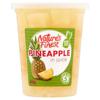Nature's Finest Pineapple In Juice 400G