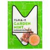 Flava-It Garden Mint Marinade Seasoning 35G