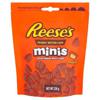Reese's Peanut Butter Cups Minis Pouch 226G