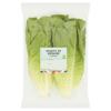 Sainsbury's Romaine Lettuce Hearts, Twin Pack x2
