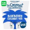 The Coconut Collaborative Blueberry Yogurt