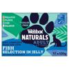 Webbox Natural Complete Fish Selection In Jelly 