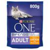 Purina ONE Adult Dry Cat Food Chicken & Wholegrains