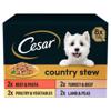 Cesar Country Kitchen Wet Dog Food Trays Special Selection in Gravy