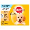 Pedigree Puppy Wet Dog Food Pouches Mixed Varieties in Jelly