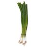 Iceland Spring Onions 125g