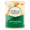 Growers Harvest New Potatoes In Water 567G