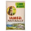 Iams Naturally With New Zealand Lamb in Gravy