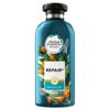 Herbal Essences Bio Renew Hair Conditioner Argan Oil of Morocco