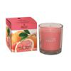 Price's Candles Pink Grapefruit Boxed Jar
