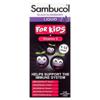 Sambucol Black Elderberry For Kids Liquid