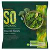 SO Organic Broccoli 500g