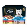 Cesar Senior Wet Dog Food Pouches Mixed Selection in Jelly
