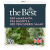 Morrisons The Best Red Amaranth Pea Shoots & Red Vein Sorrel Salad