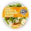 Little Leaf Co. Sweet & Crunchy Salad 250g