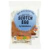 Sainsbury's Individual Scotch Egg 113g