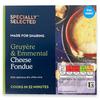 Specially Selected Gruyere & Emmental Cheese Fondue 150g