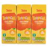 Juice Company Tropical Juice Drink 3x250ml