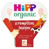 HiPP Organic Scrumptious Lasagne Tray Meal 230g 12 Month+