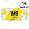 Big & Fresh Mixed Sized Eggs 10 Pack