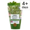 Tesco Growing Mint Large Pot