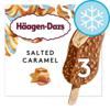 Haagen Dazs Salted Caramel Ice Cream Stick Bar 3X80ml