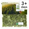 Organic Curly Kale 200G