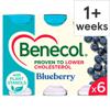 Benecol Blueberry Yogurt Drink 6X67.5G