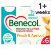 Benecol Peach & Apricot Yogurt Drink 6X67.5G