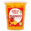Natures Finest Mango In Juice 400G