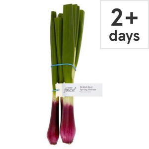 Tesco Finest Red Spring Onion 120G