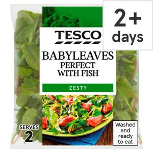 Tesco Babyleaves Perfect With Fish Zesty 70G