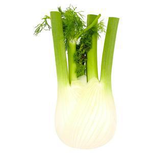 Sainsbury's Fennel Loose