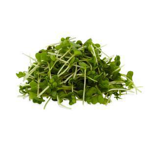 Sainsbury's Fresh Salad Cress 20g