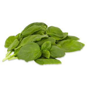 Sainsbury's Fresh Packed Basil 30g