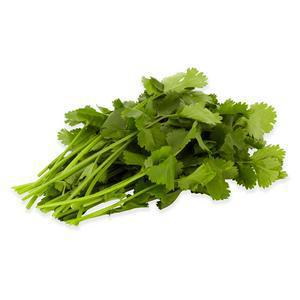 Sainsbury's Fresh Packed Bunch Coriander 30g